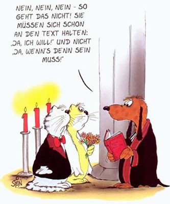 single treff 50 plus preisvergleich