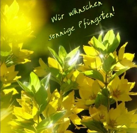 Gluckwunsche Aller Art Seite 6