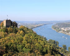 Radfahren am Rhein mit viel Kultur & Genuss